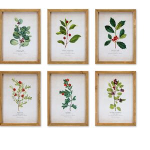 Wood Framed Winter Foliage Encyclopedia Print Under Glass (Set of 6)