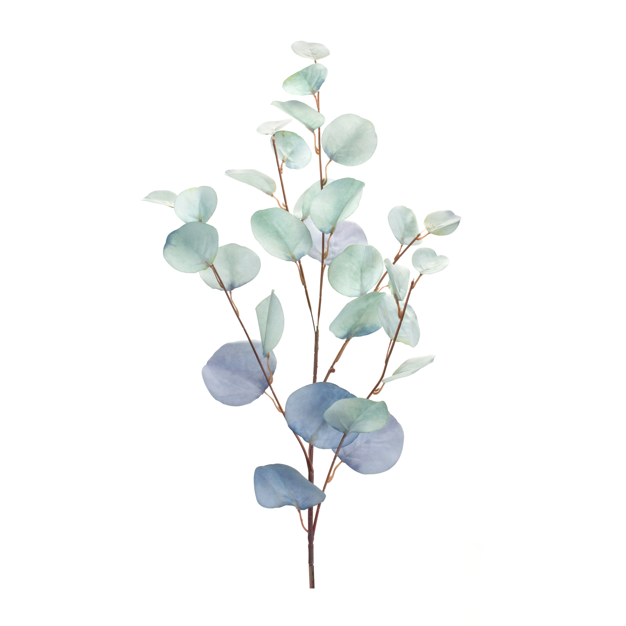 Blue Silver Dollar Eucalyptus Leaf Spray (Set of 6) - Image 2