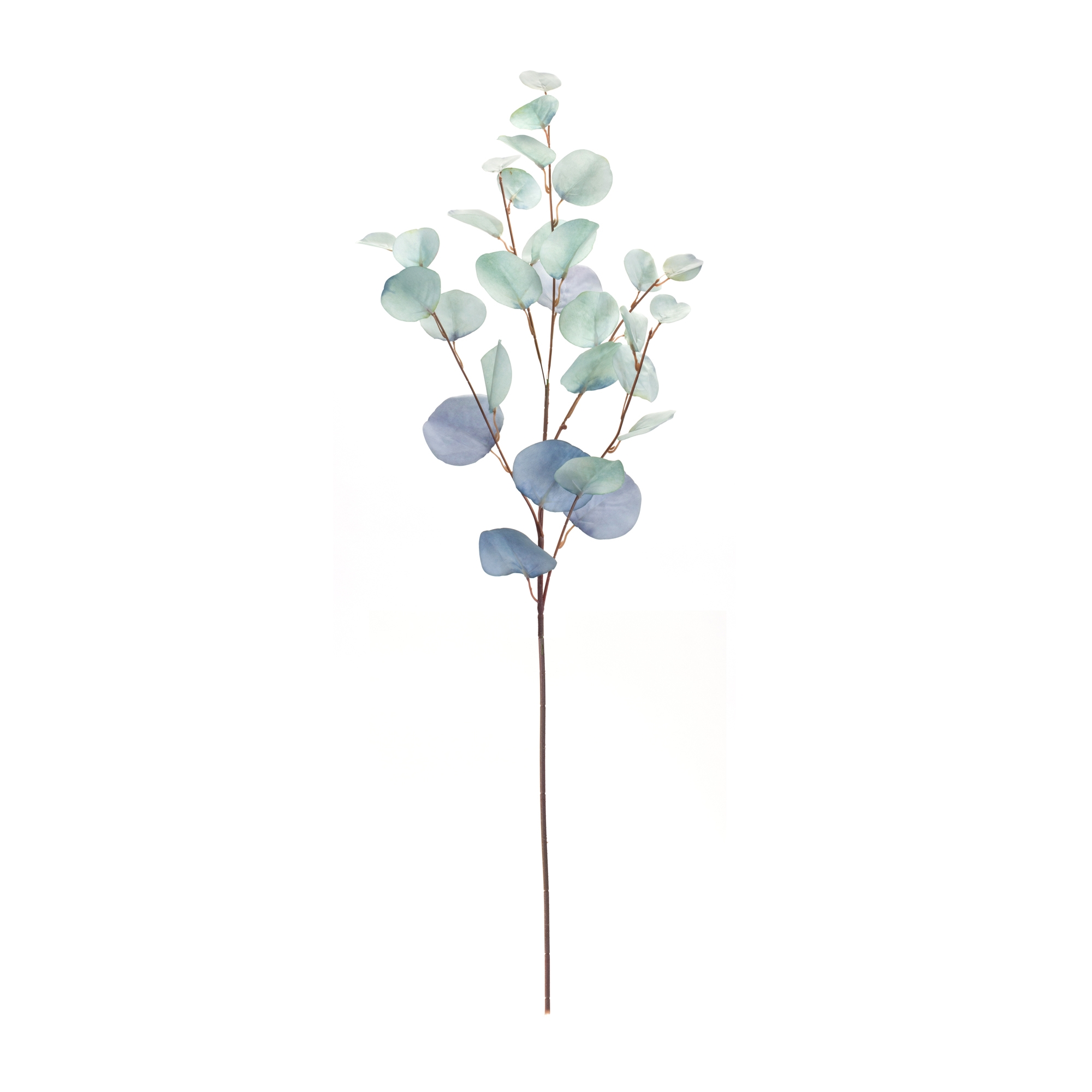 Blue Silver Dollar Eucalyptus Leaf Spray (Set of 6) - Image 3