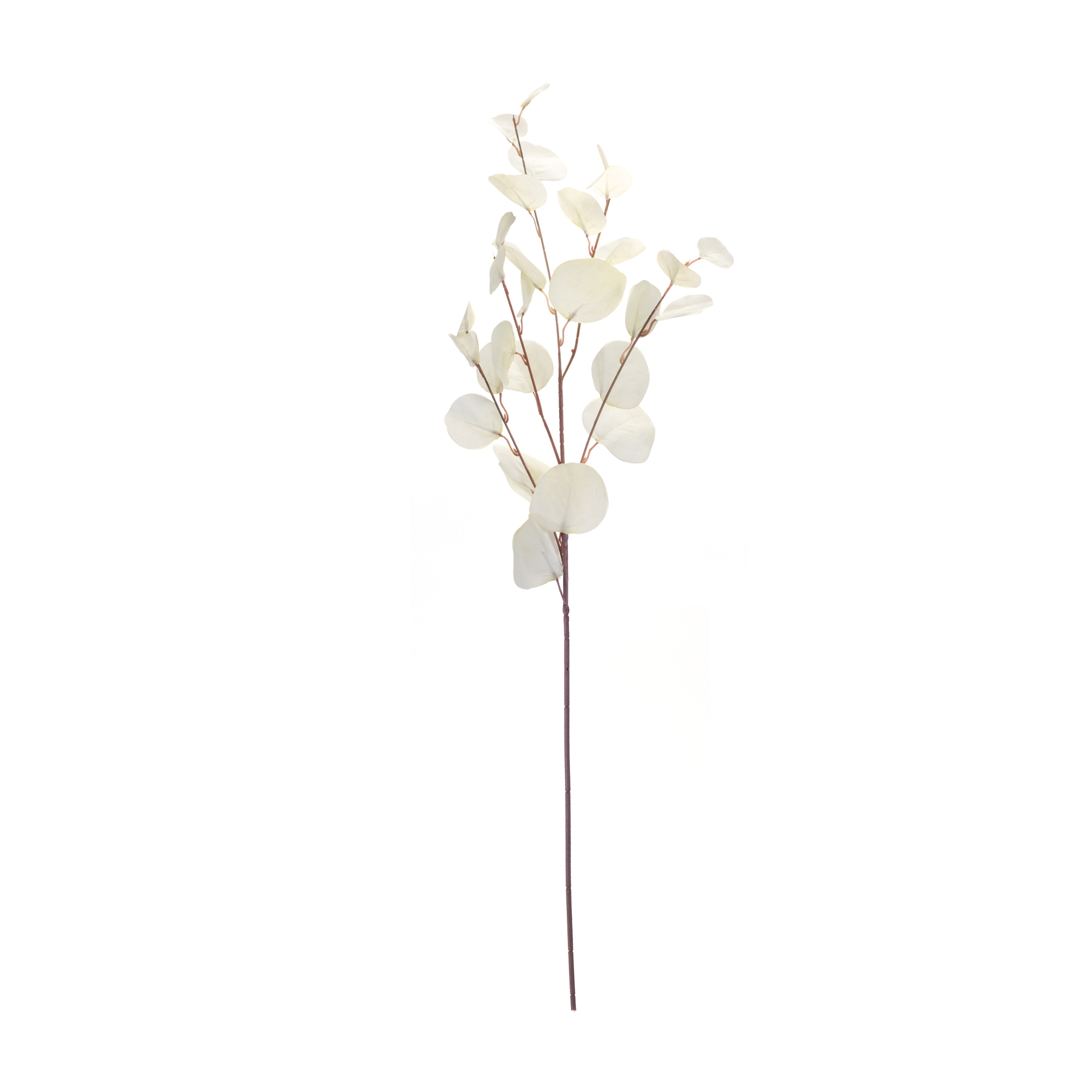 Ivory Silver Dollar Eucalyptus Leaf Spray (Set of 6) - Image 3