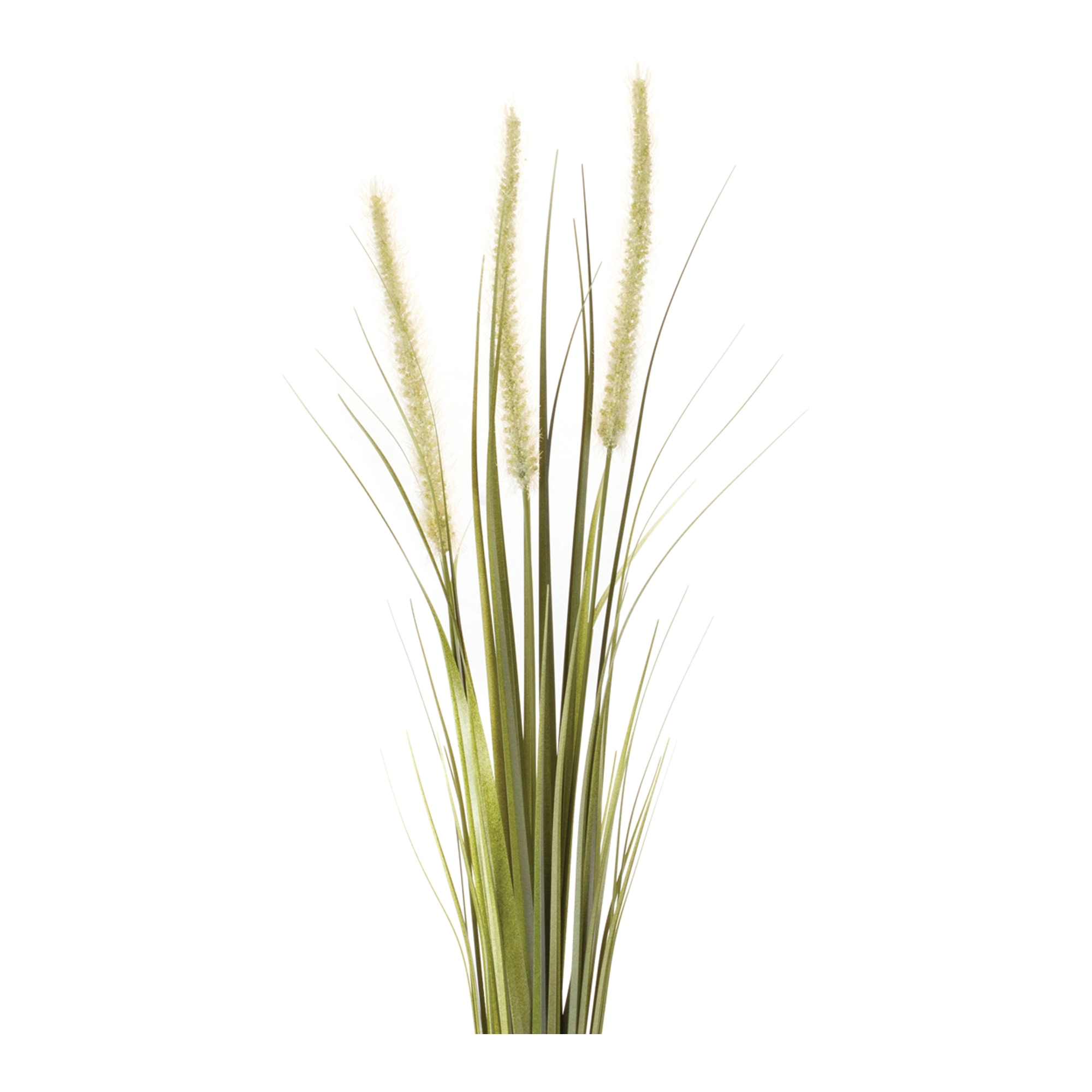 Foxtail Bush (Set of 6) - Image 2