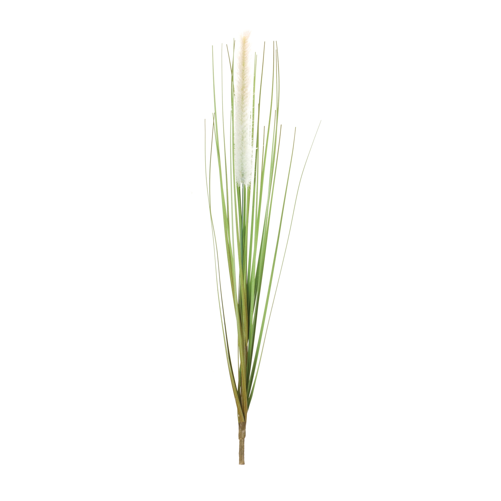 Foxtail Bush (Set of 12) - Image 2