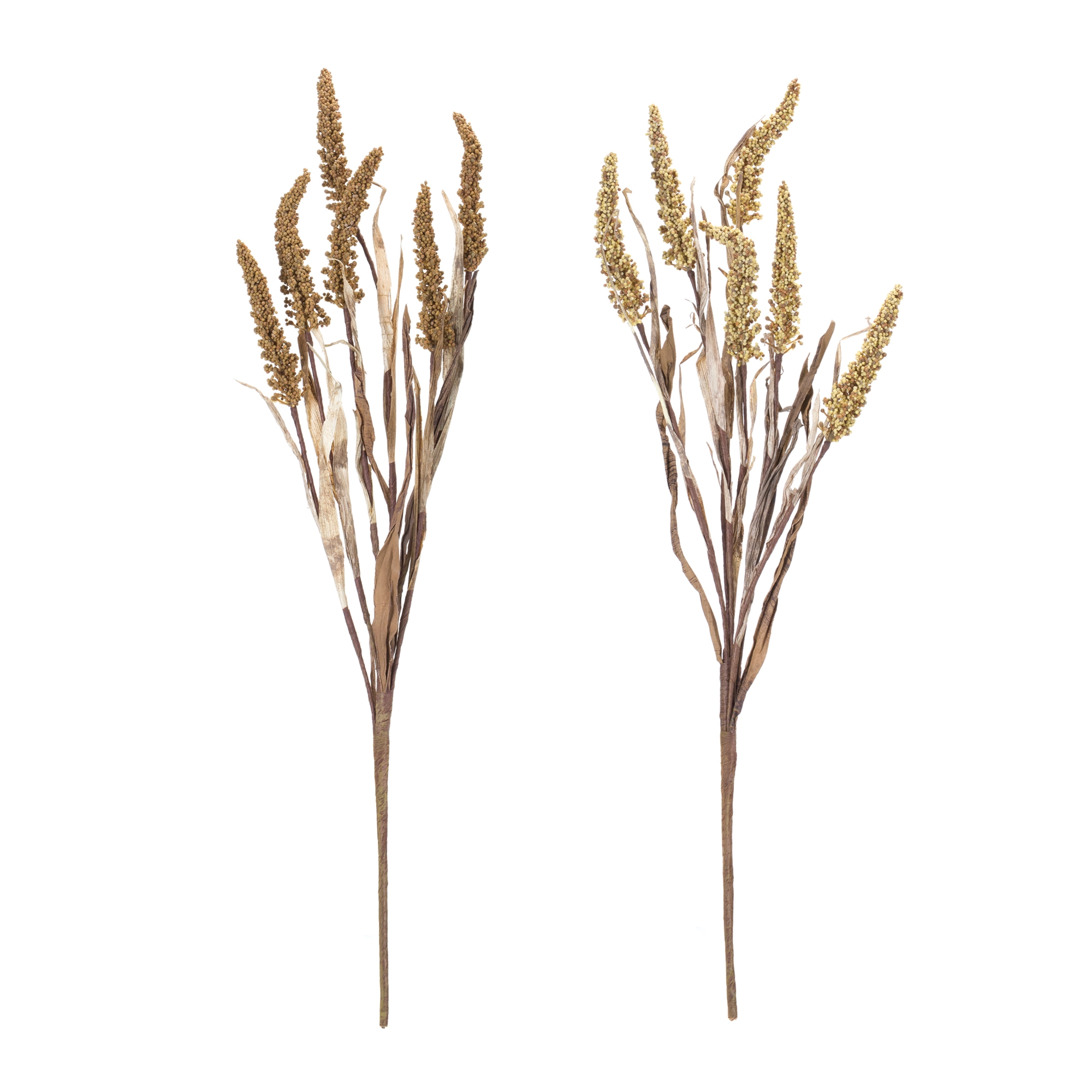 Amaranthus Bush (Set of 2) - Image 2