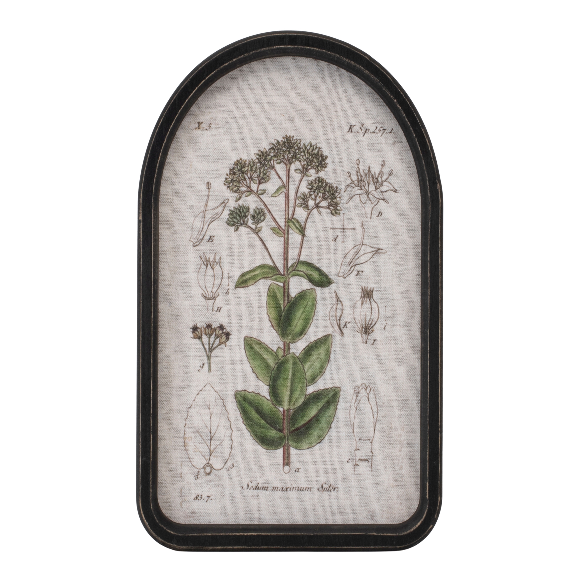 Framed Floral Arch Print (Set of 2) - Image 2