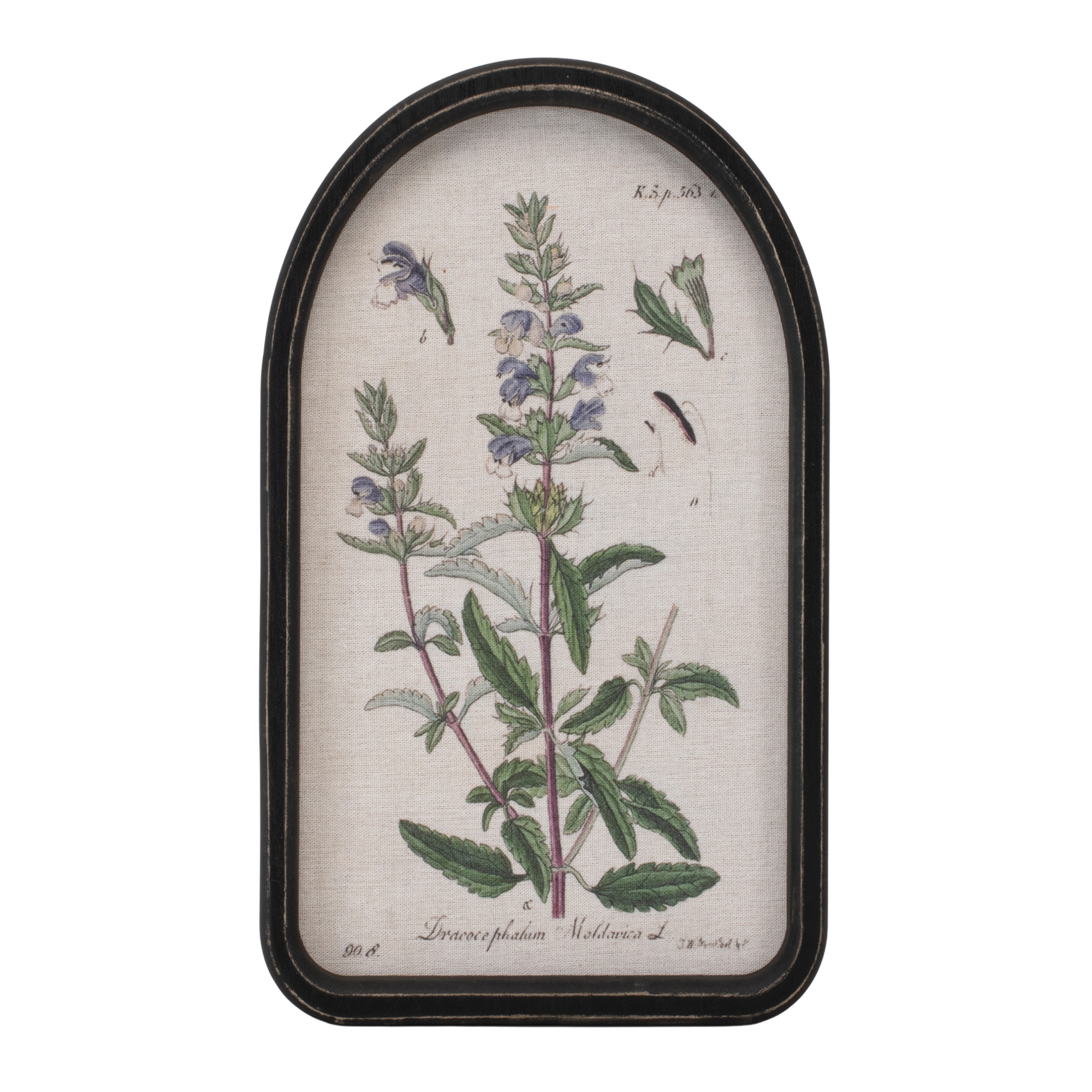 Framed Floral Arch Print (Set of 2) - Image 3