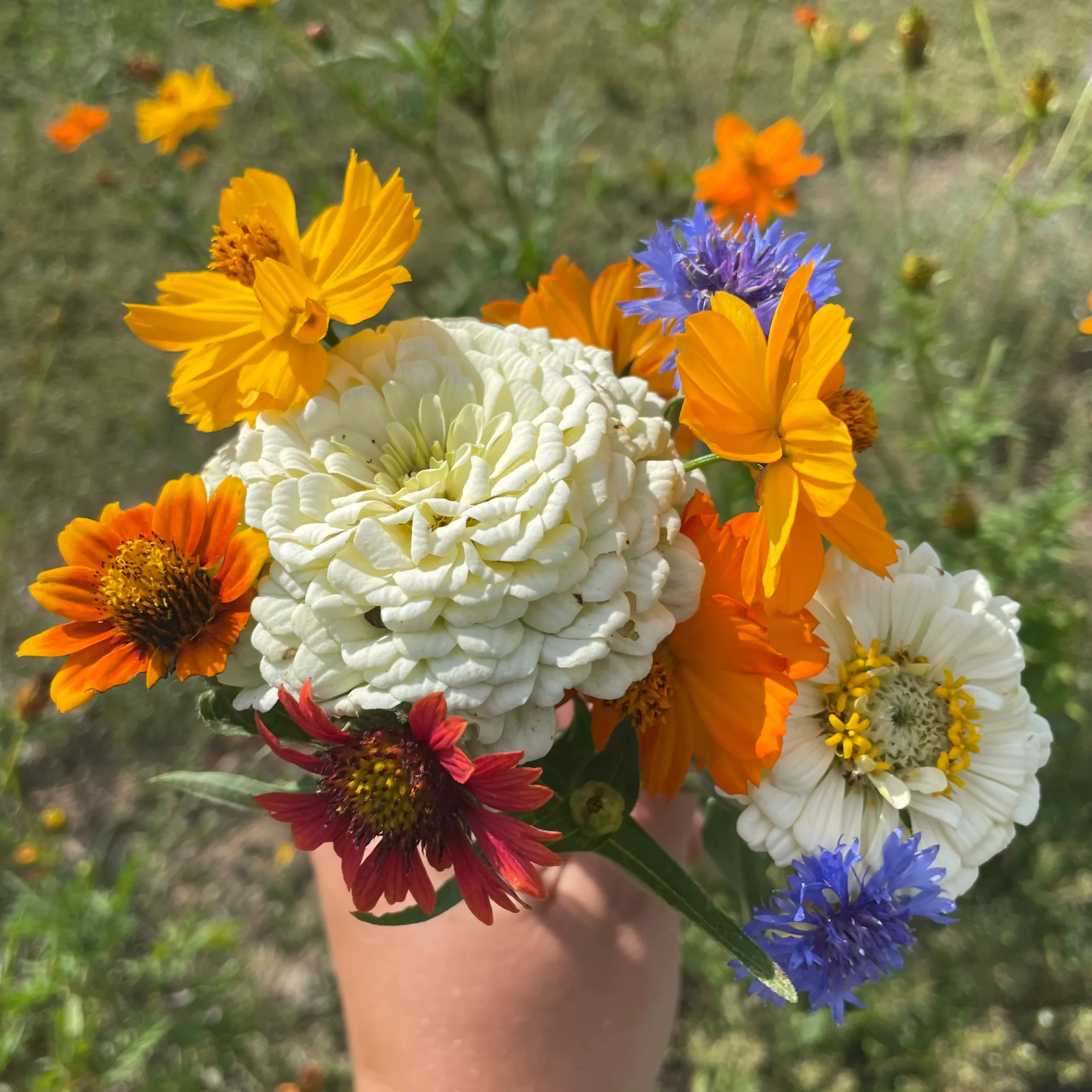 Good Bugs Blooms Mix - Image 4