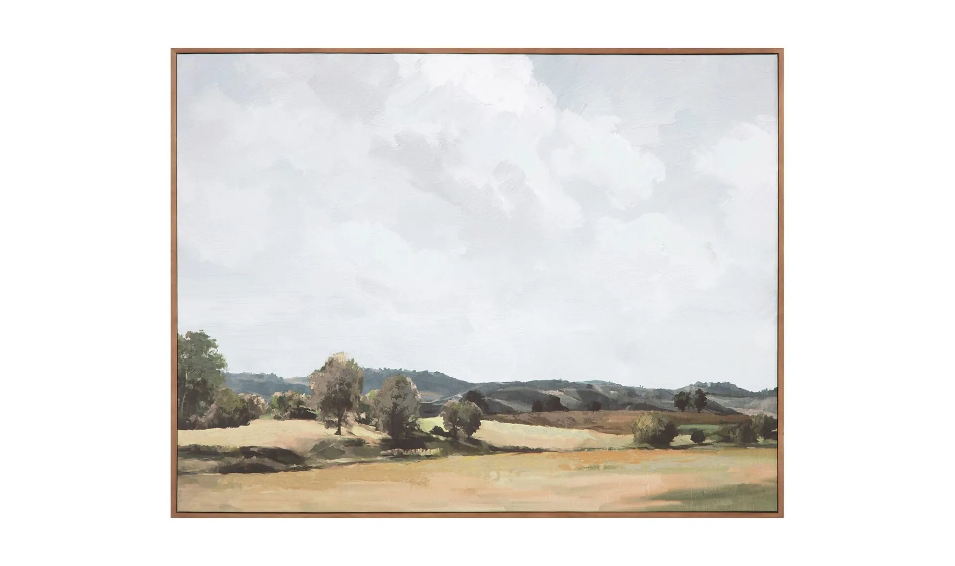 Vast Country Framed Painting