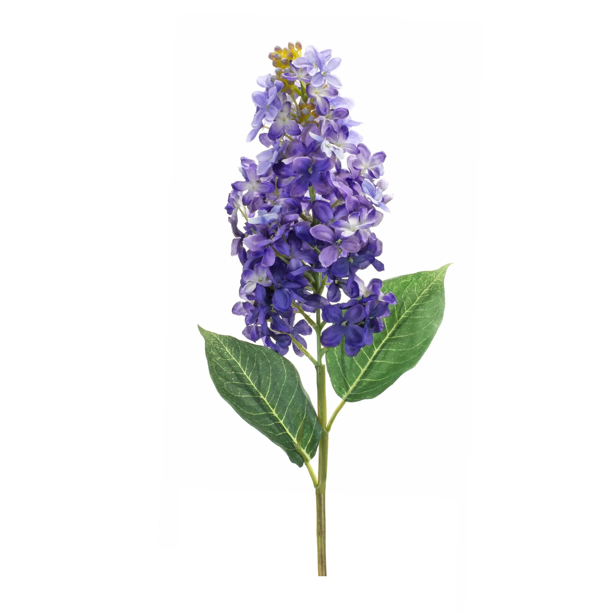 Varigated Purple Lilac Flower Stem (Set of 6) - Image 2