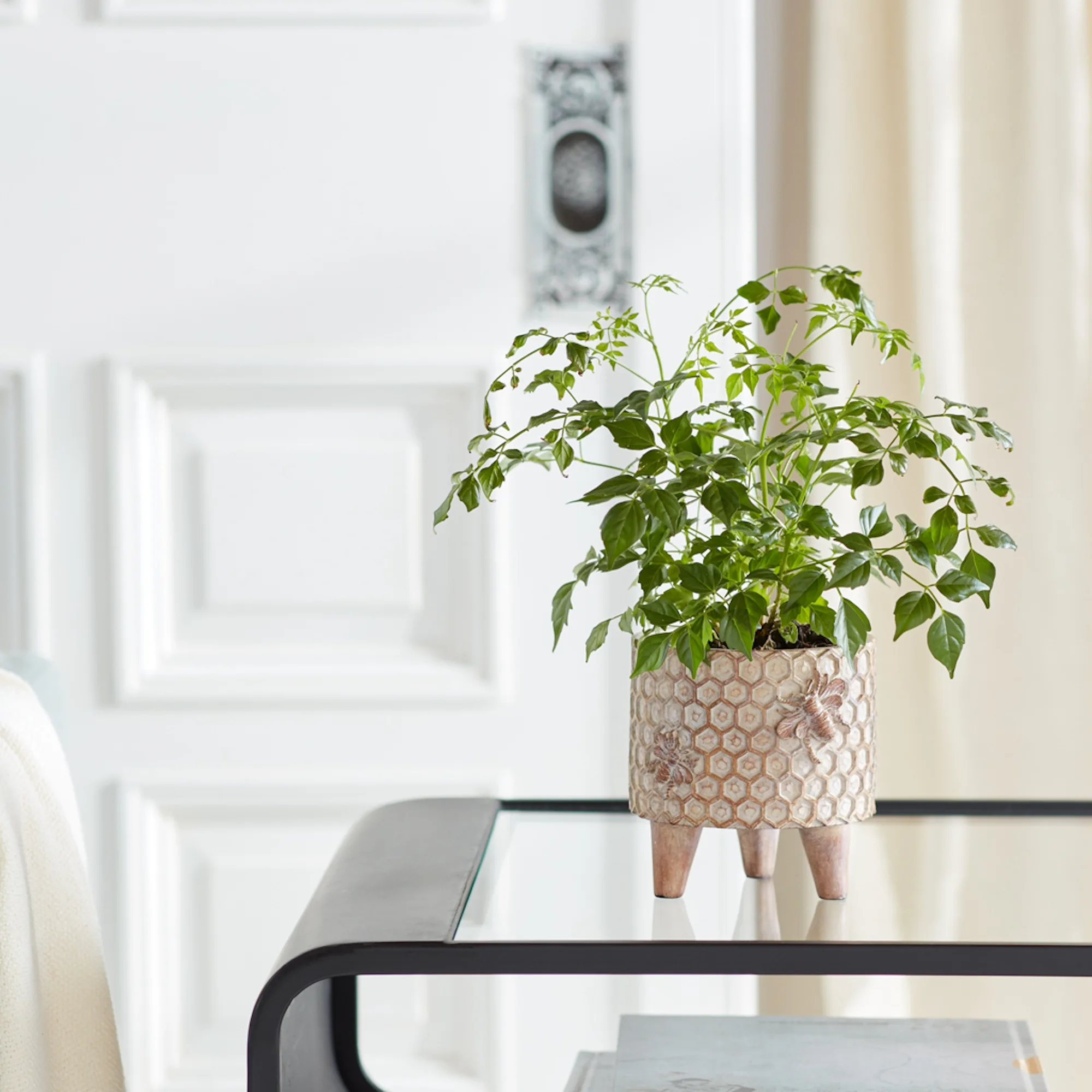 Resin Honeycomb Bumble Bee Planter with Legs (Set of 2) - Image 2