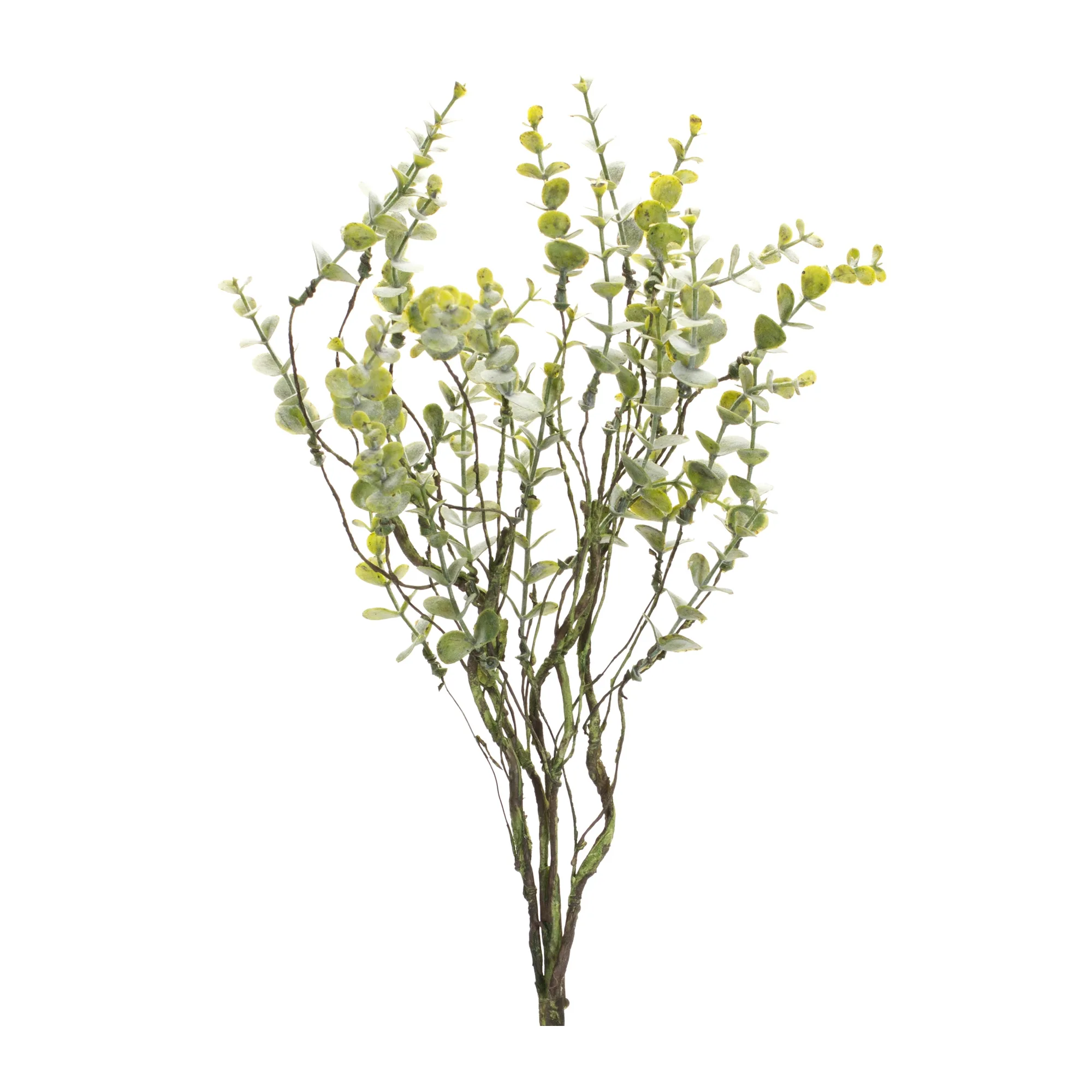 Boxwood Twig Foliage Spray (Set of 6) - Image 2