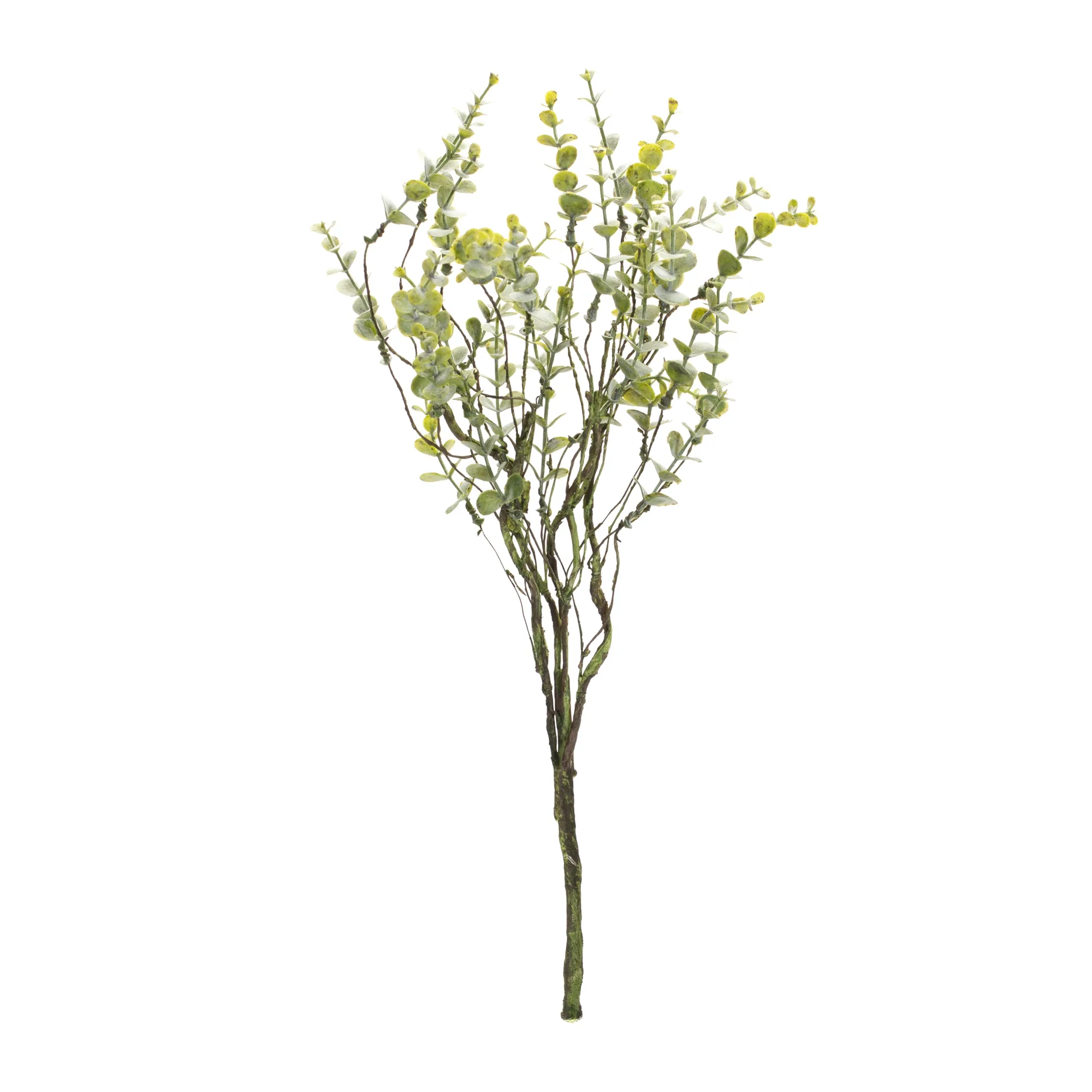 Boxwood Twig Foliage Spray (Set of 6) - Image 3
