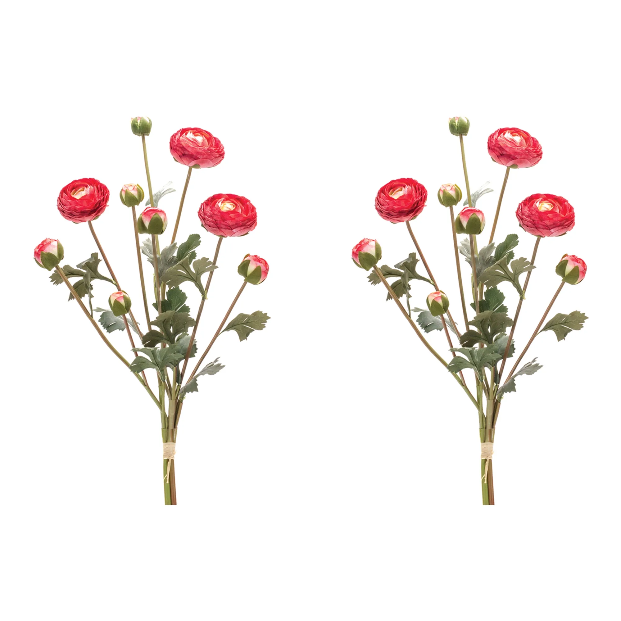 Ranunculus Bundle (Set of 2) - Image 2