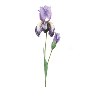 Iris Floral Stem (Set of 6)