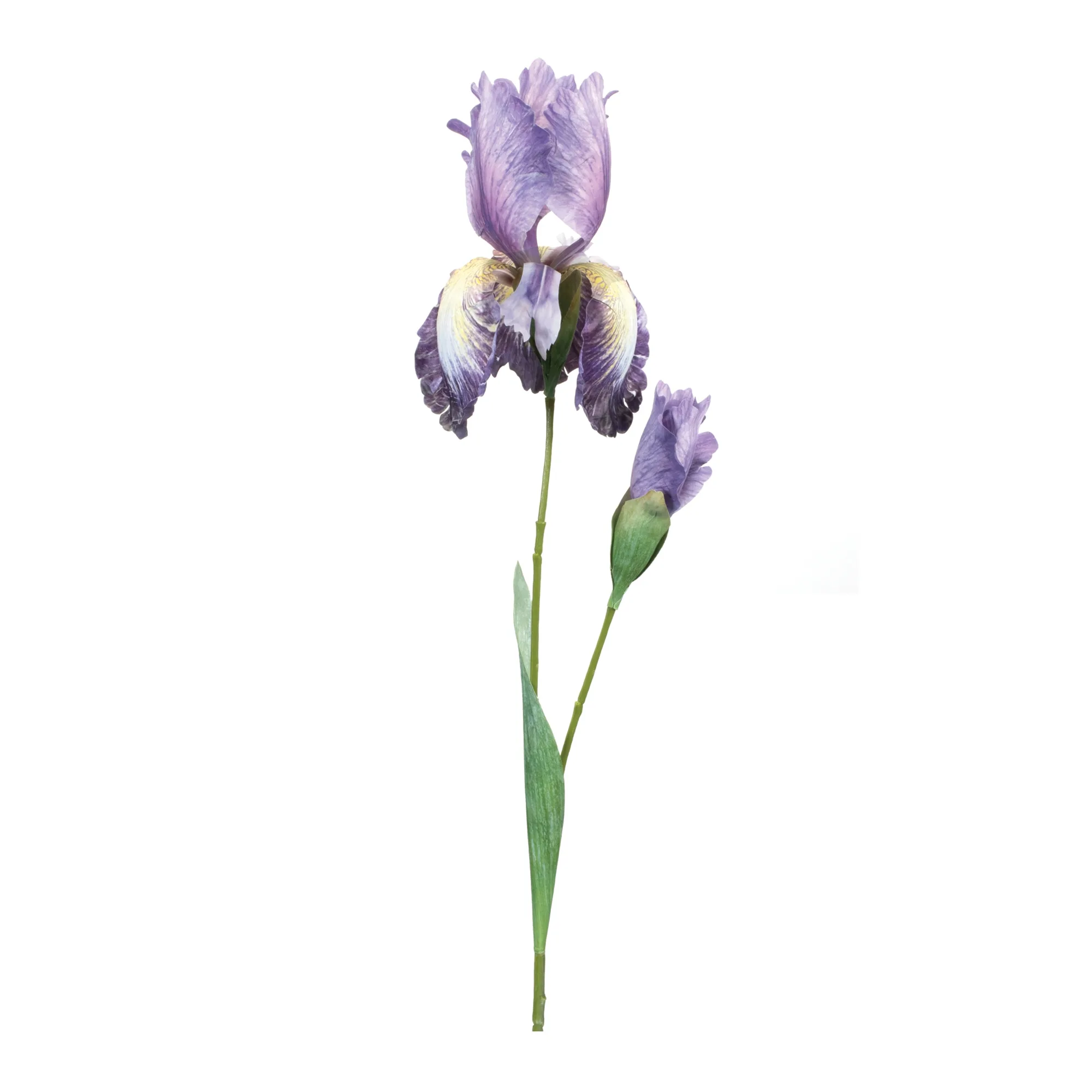 Iris Floral Stem (Set of 6)