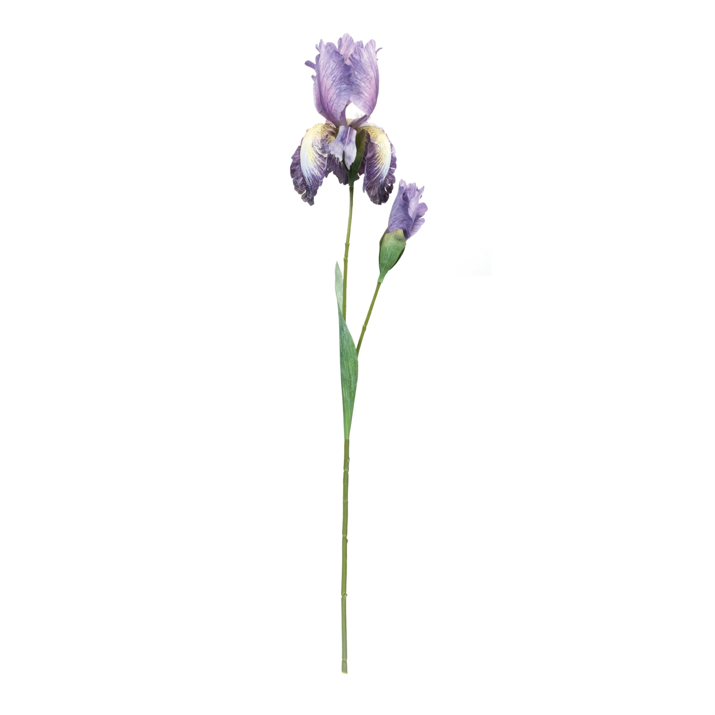 Iris Floral Stem (Set of 6) - Image 2