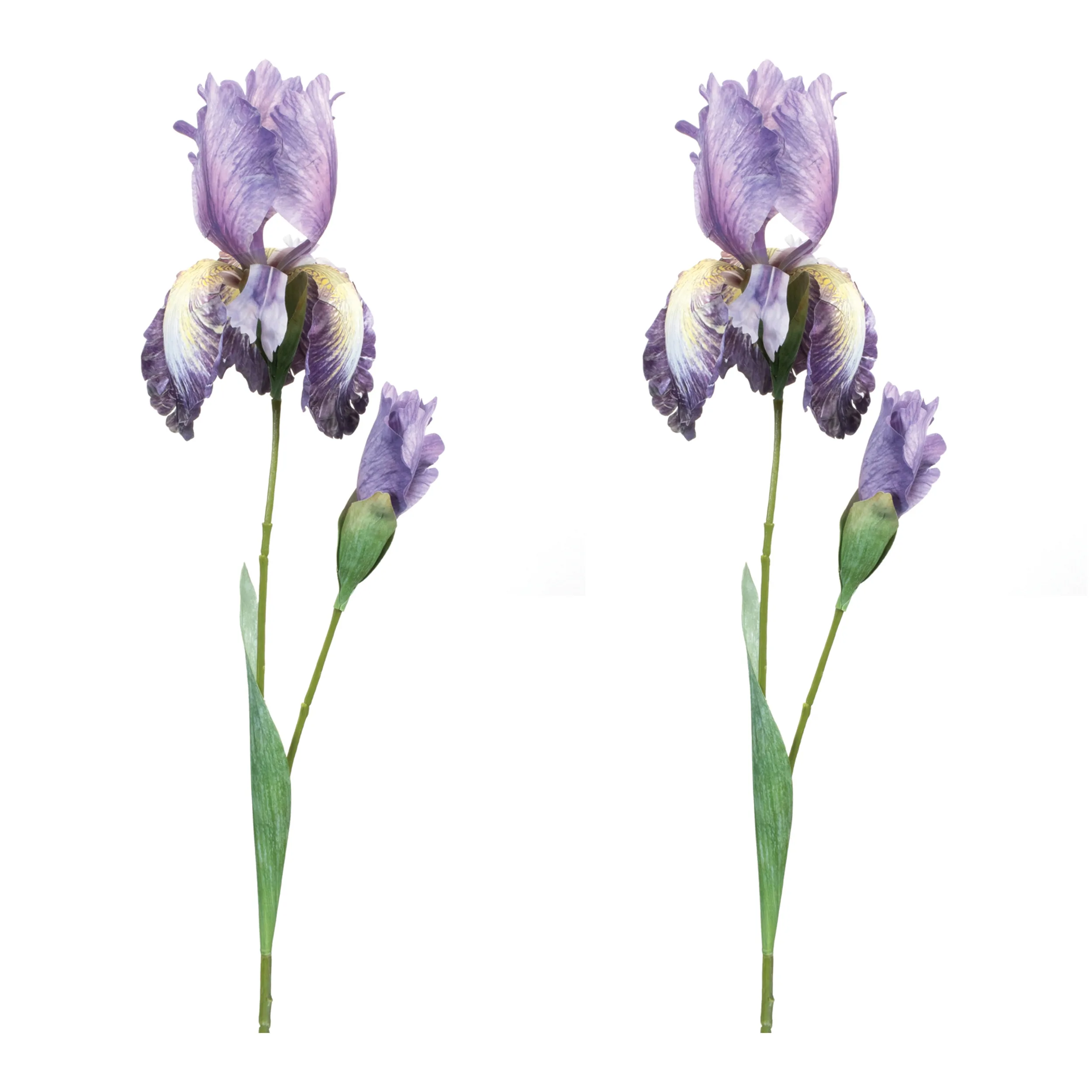 Iris Floral Stem (Set of 6) - Image 3